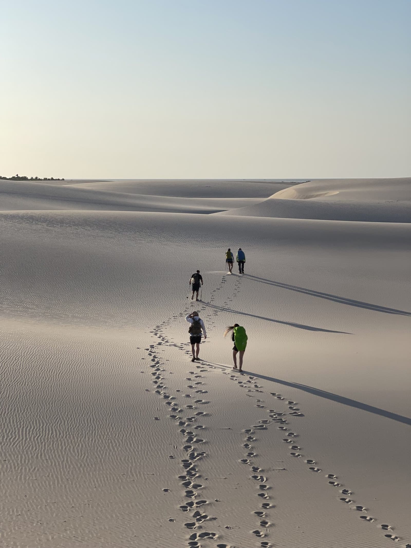 Één spoor, vier wandelaars, eindeloos veel wit zand. Vijf wandelaars trekken sporen door de eindeloze witte zandduinen van Lençóis Maranhenses onder een bleek ochtendlicht