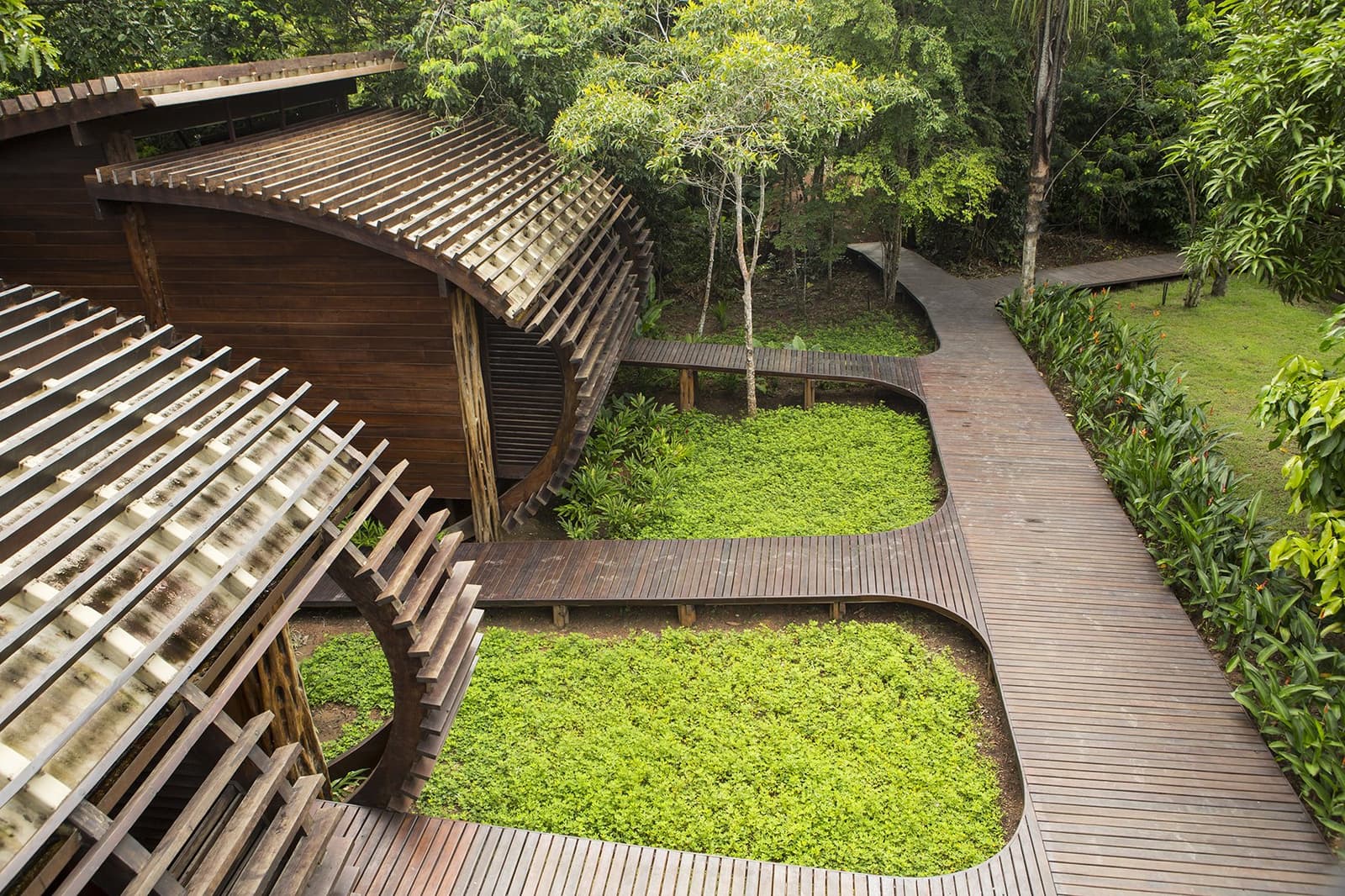 Holz, Grün und eine Architektur, die dem Wald zuhört. Vogelperspektive auf geschwungene Hartholzstege eines Luxus-Amazonas-Lodges, die sich zwischen üppigen Bodendeckern und einem lamellenverziertem Holzpavillon mit dichtem Regenwalddach im Hintergrund schlängeln