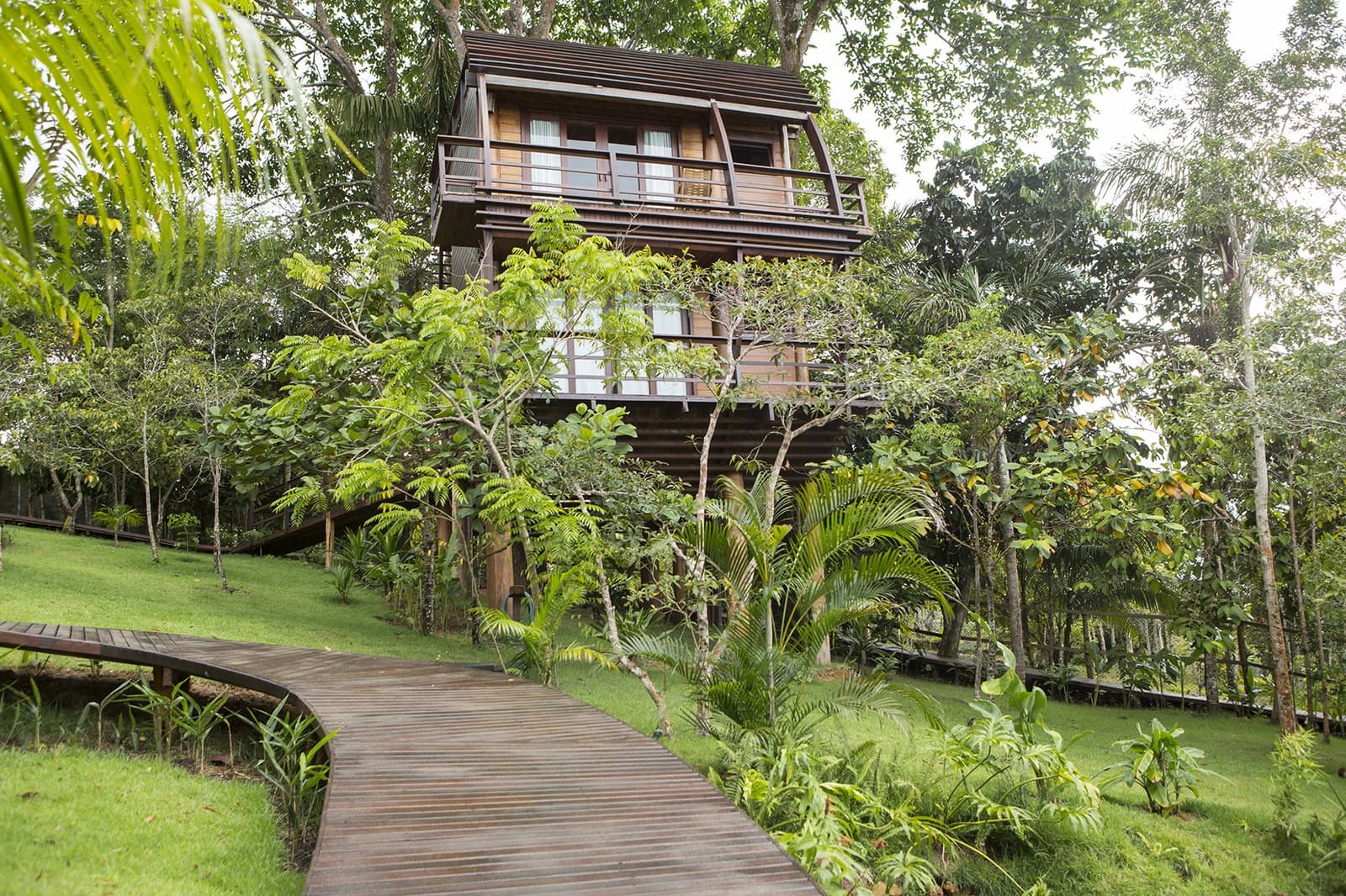 Übernachten im Blätterdach, Anreise auf Planken. Ein mehrstöckiges Holz-Baumhaus in einem Luxus-Amazonas-Lodge in Brasilien erhebt sich über üppige tropische Vegetation, erreichbar über einen geschwungenen Holzsteg durch gepflegte Regenwaldanlage
