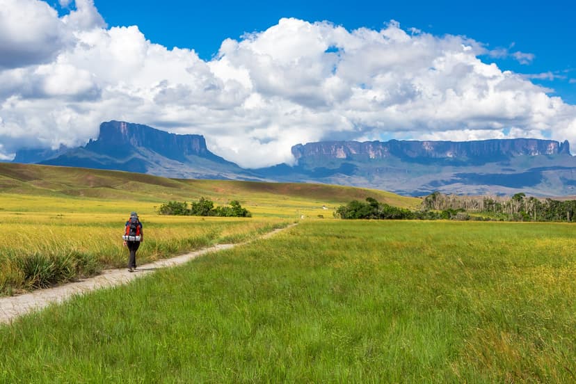Tepui del Monte Roraima: trekking di 8 giorni e 3 notti in cima Tepui del Monte Roraima: trekking di 8 giorni e 3 notti in cima