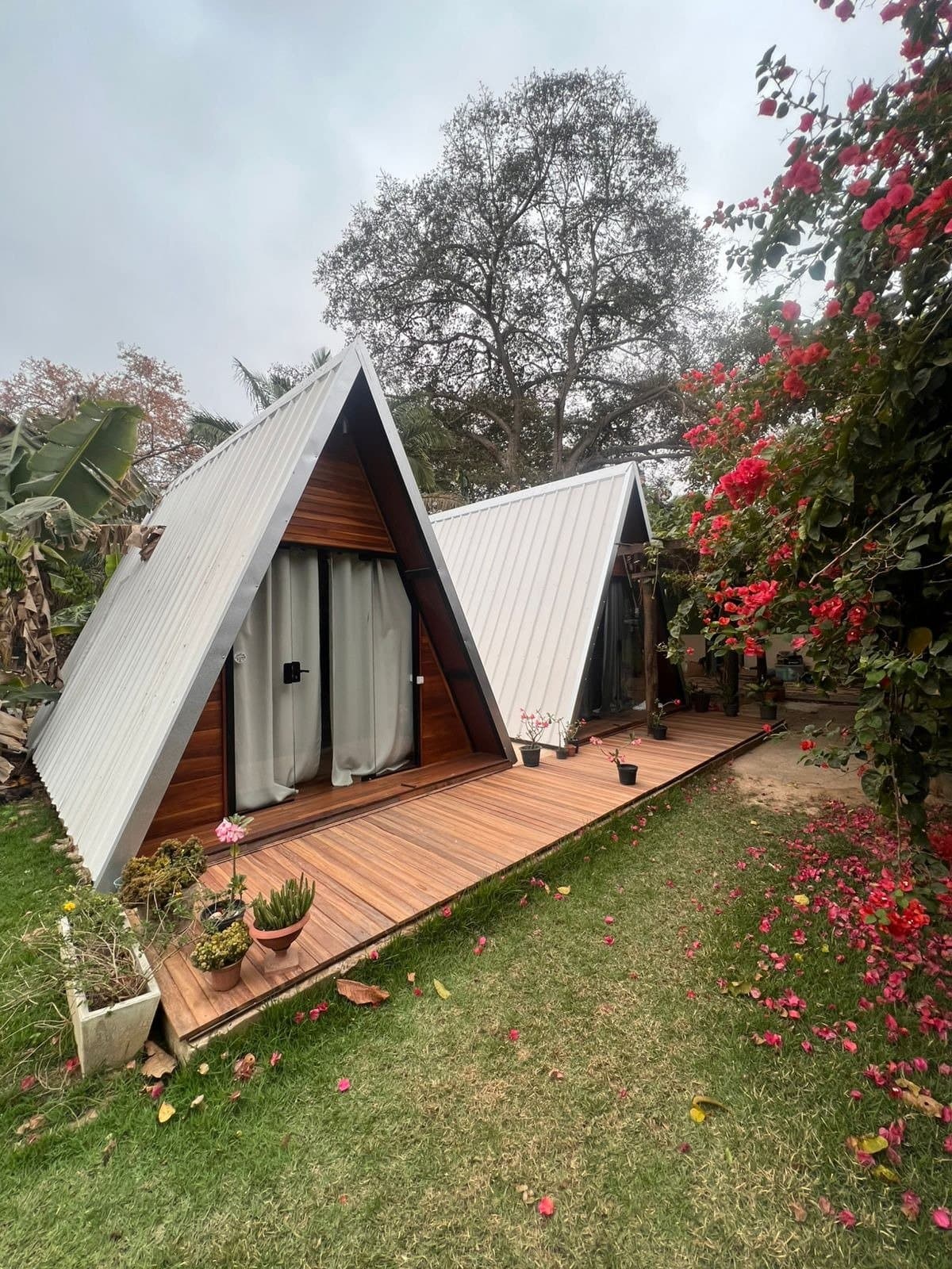 Kompakt, gemütlich und mit Blumenschmuck ohne Aufpreis. Zwei A-Rahmen-Hütten mit Holzterrassen und Metalldächern in einem Garten mit rotem Bougainvillea, Teil einer Lodge für eine Pantanal-Jaguar-Budgetsafari