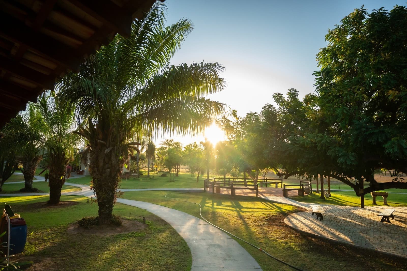Abendlicht, das einen einfach aufhalten lässt, Handy vergessen. Sonne bricht bei goldener Stunde durch Palmen und tropische Bäume über dem gepflegten Gelände einer Pantanal-Jaguar-Budget-Safari-Lodge mit geschwungenem Weg und Holzzaun