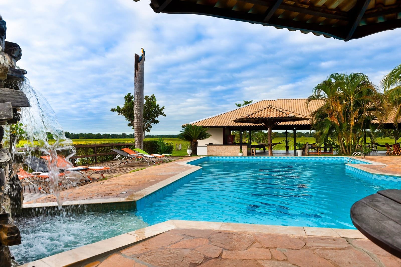 Der Pool wartet, während die Weite des Pantanal bis zum Horizont reicht. Außenpool mit Wasserfall an einer Lodge für günstige Jaguar-Safaris im Pantanal, Liegestühle auf der Terrasse, ein Blau-Gelber Ara auf einem hohen Palmenstamm und weite Feuchtgebietslandschaft im Hintergrund