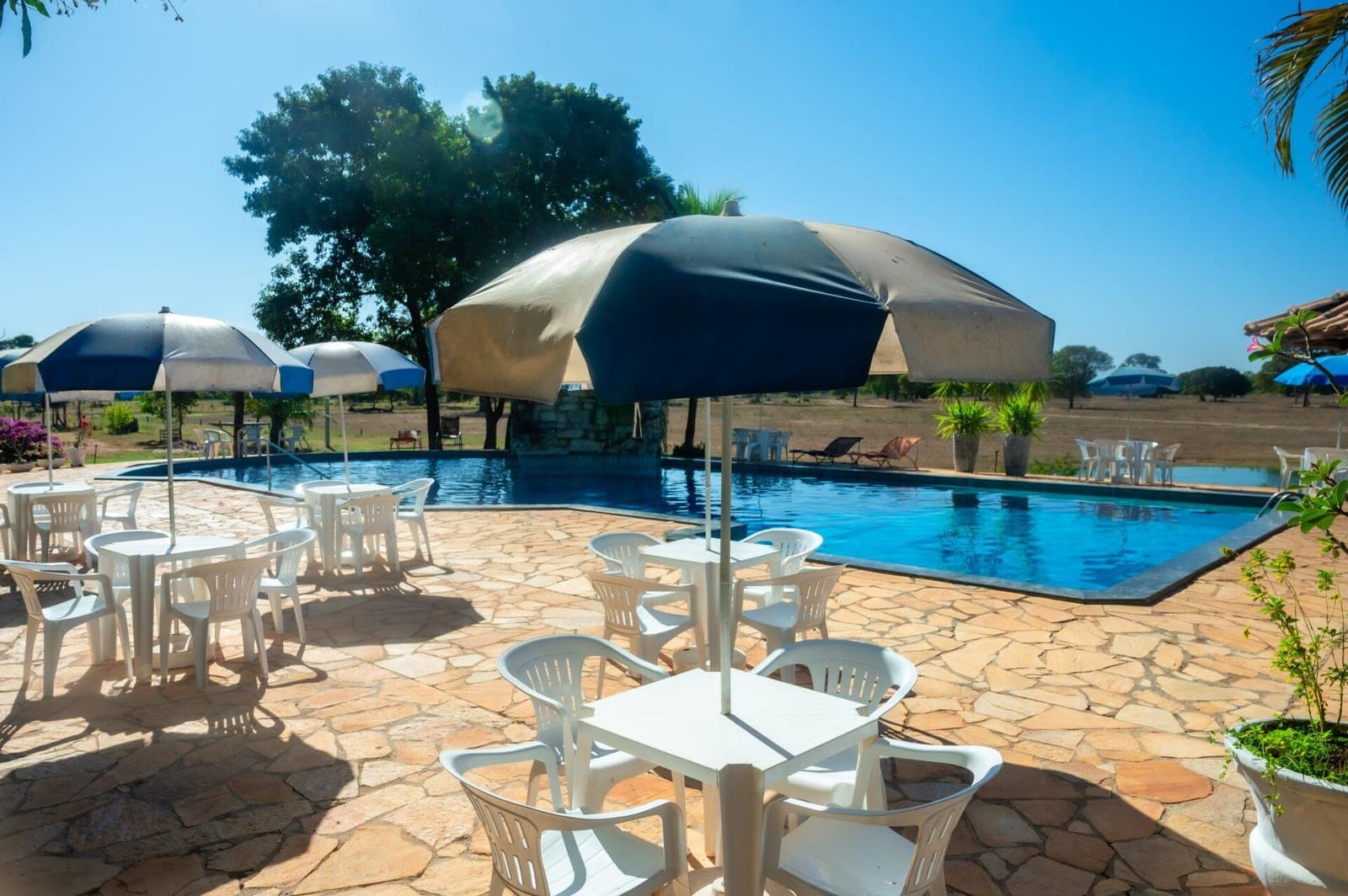 Nach der Safari wartet der Pool, und der Pool wartet gern. Sonnige Außenpoolterrasse mit weißen Tischen, Stühlen und gestreiften Sonnenschirmen in einer Lodge für eine Pantanal-Jaguar-Budget-Safari