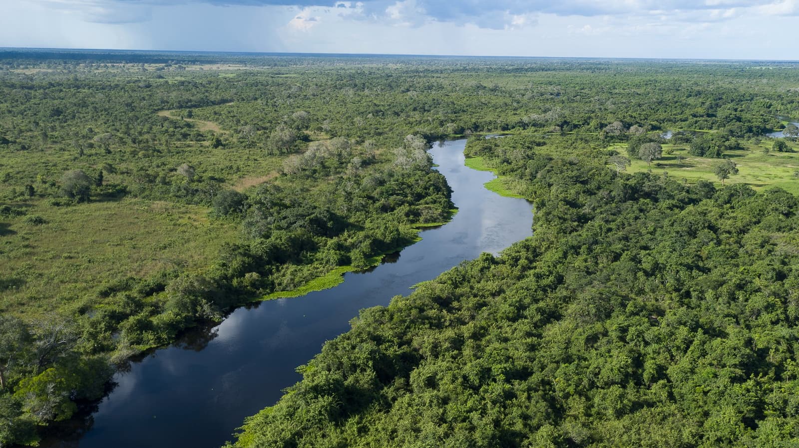 Der Fluss gibt hier den Takt vor, nicht die Uhr. Luftaufnahme eines dunklen, spiegelglatten Flusses, der sich durch dichten tropischen Galeriewald im Pantanal schlängelt, mit weiten Überschwemmungsebenen bis zum Horizont unter bewölktem Himmel