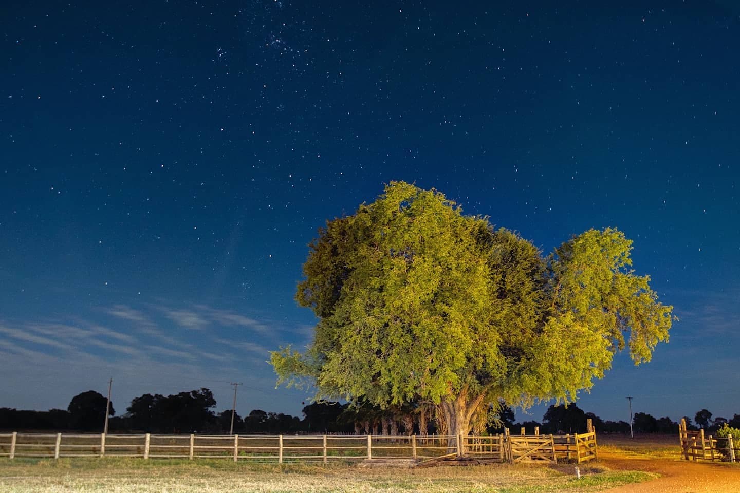 Kein Teleskop nötig, der Himmel hier spricht für sich. Ein großer beleuchteter Baum leuchtet unter einem Sternenhimmel über einem Holzzaun einer Ranch im Pantanal
