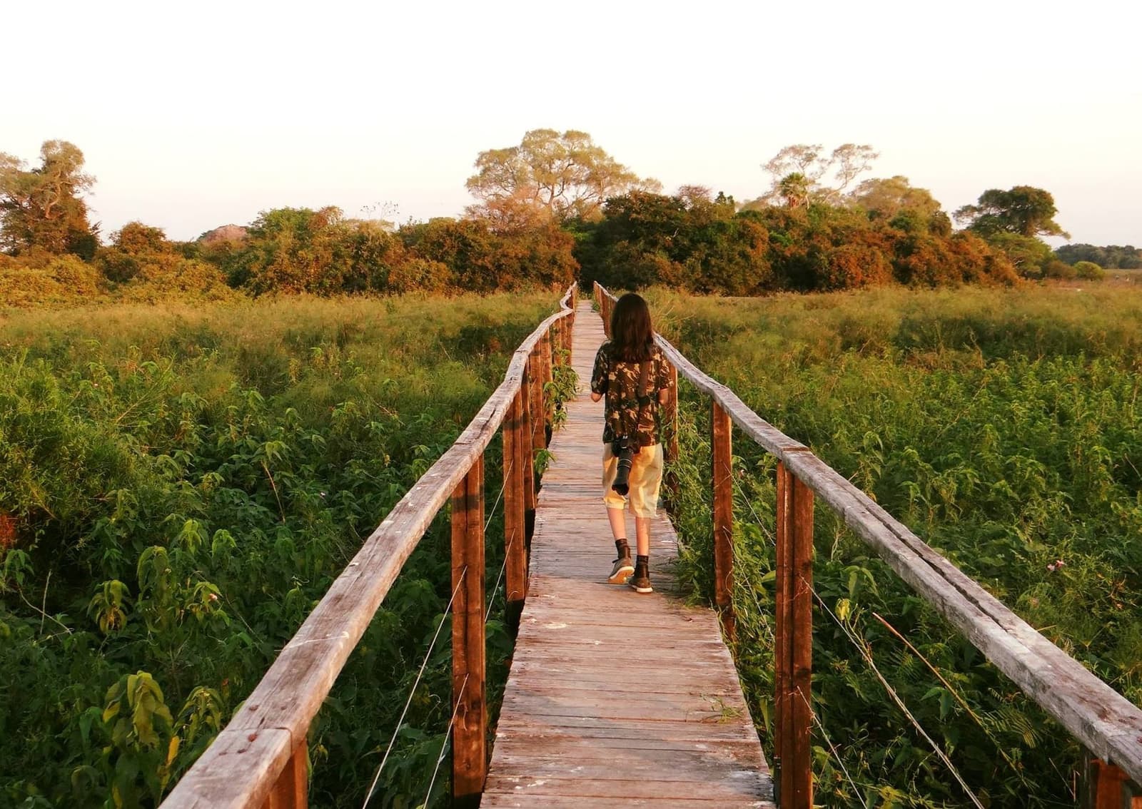 Ein Holzsteg, das Abendlicht und das leise Rauschen der Feuchtgebiete. Eine Besucherin mit Kamera geht auf einem rustikalen Holzsteg durch üppige Feuchtgebiet-Vegetation auf einer Pantanal-Jaguar-Budget-Safari