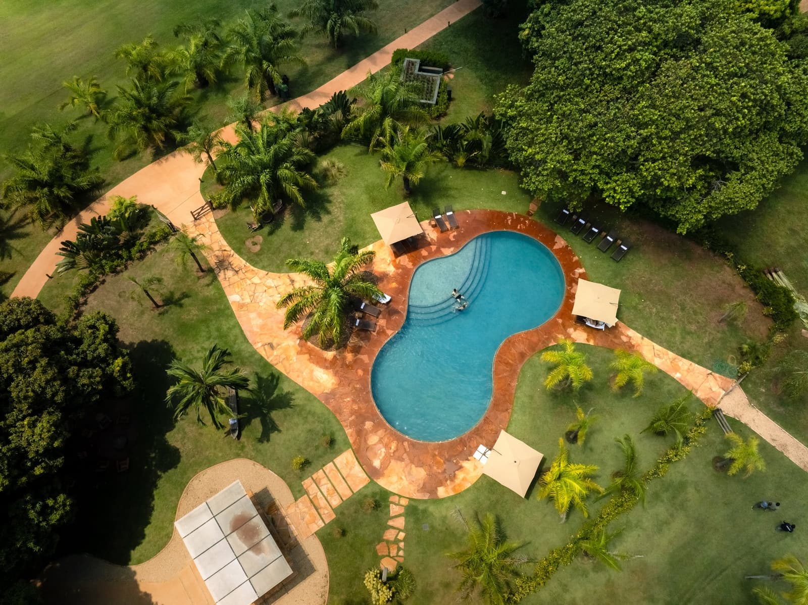 After a morning of wildlife tracking, the pool earns every inch of its welcome. Aerial view of a freeform swimming pool surrounded by terracotta stone decking, sun loungers, shade umbrellas, and lush tropical gardens at a pantanal luxury safari lodge