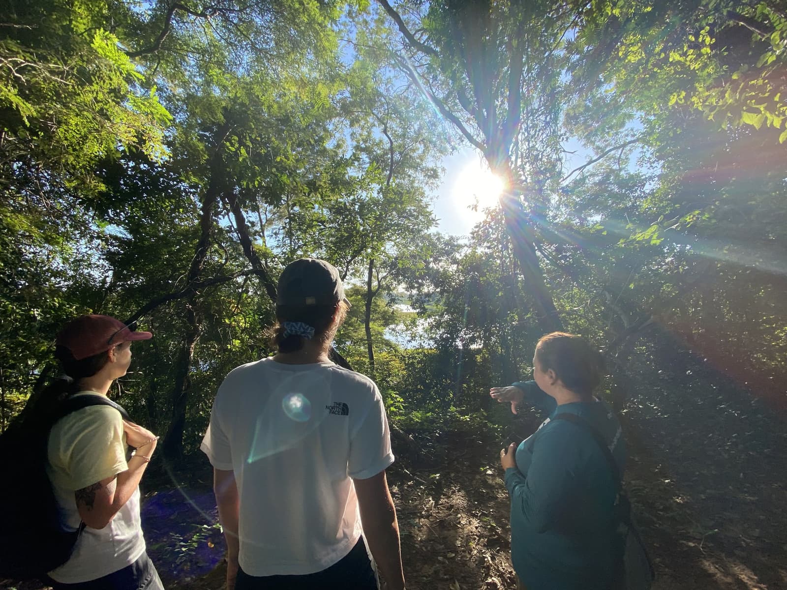 De gids wijst, en opeens ziet iedereen het ook. Drie bezoekers op een Pantanal-tour vanuit Cuiabá kijken omhoog naar een zonnig bosluifel doorbroken door goudkleurig licht