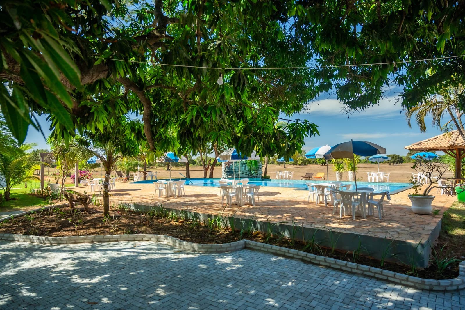 Schaduw, iets koels erbij, en geen haast. Lodgeleven op zijn best. Beschaduwde poolteras met witte tuinstoelen en kleurrijke parasols bij een lodge voor de Pantanal Tour vanuit Cuiabá, omringd door loofbomen met een open savanne op de achtergrond