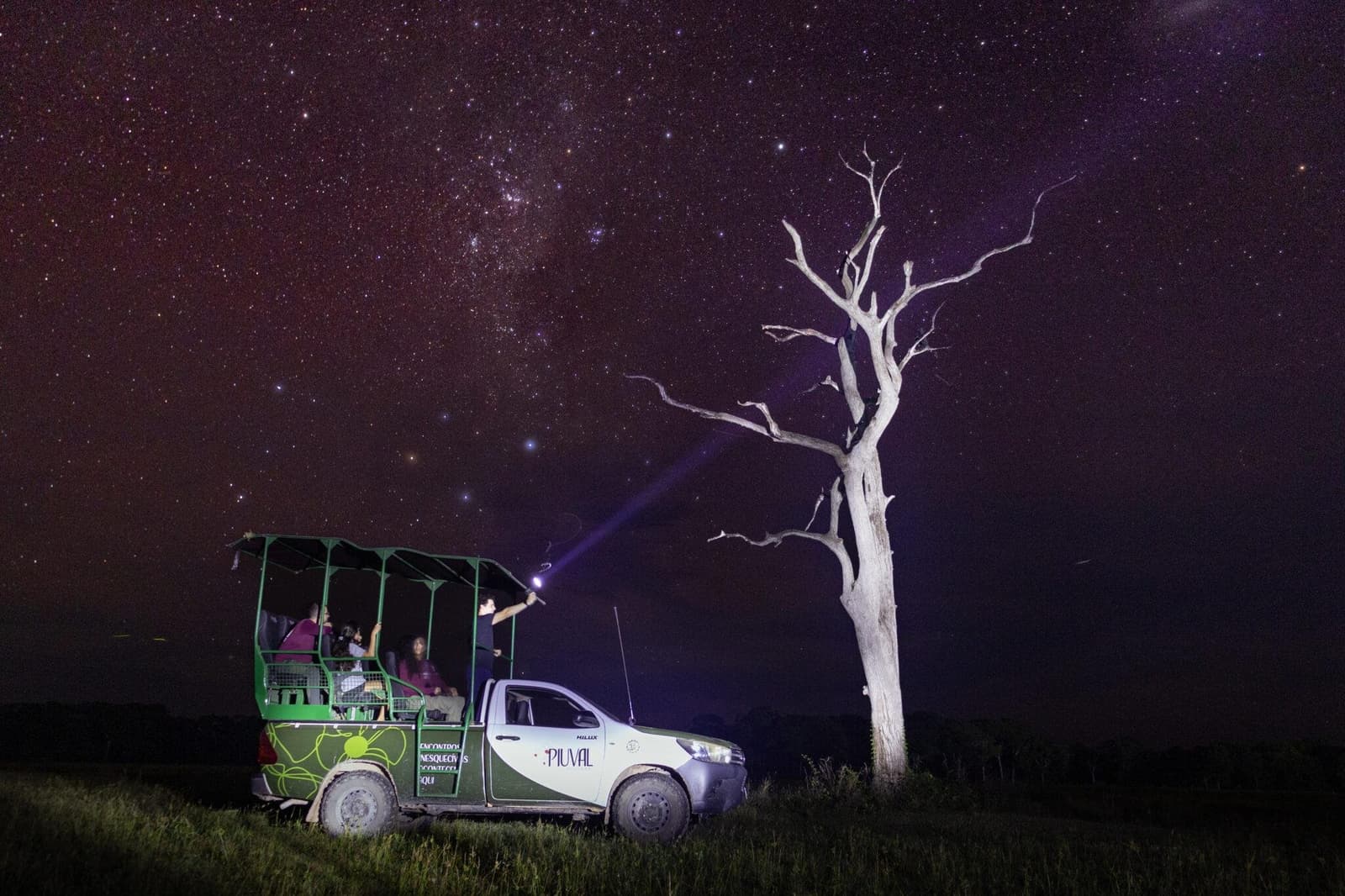 Spotlight aan, Melkweg boven, Pantanal rondom. Een groep ecotoeristen op een open 4x4-safariwagen tijdens een Pantanal Tour vanuit Cuiabá, terwijl een gids een schijnwerperbundel richt op een kale witte boom onder een schitterend Melkwegstelsel