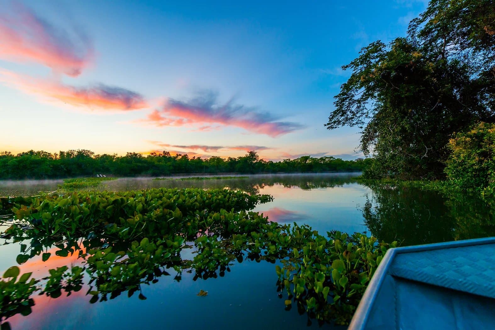 Op het water in het Pantanal, terwijl de lucht langzaam kleur kiest. Uitzicht vanuit een kleine boot die langs drijvende waterhyacinten glijdt over een rustig moeraskanaal bij zonsopgang, met roze en oranje wolken weerspiegeld in het stille water en een donker galeriewoud aan de horizon — een kenmerkend moment op een Pantanal-tour vanuit Cuiabá