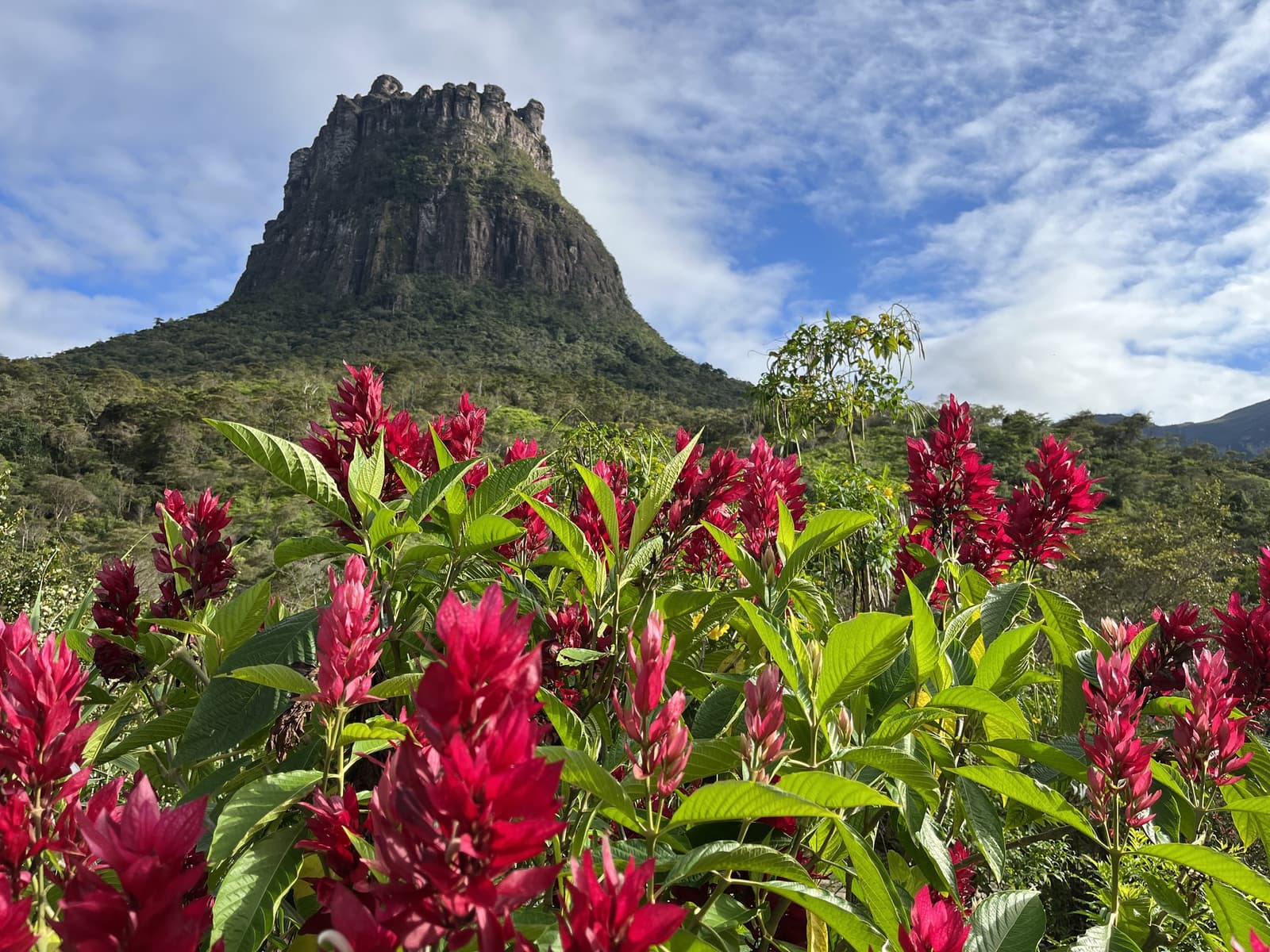 O vale já se apresenta em plena forma antes mesmo da trilha começar. Flores vermelhas vibrantes em primeiro plano emolduram um imponente morro rochoso que se ergue acima da floresta verde na trilha do Vale do Pati, sob céu azul com nuvens esparsas