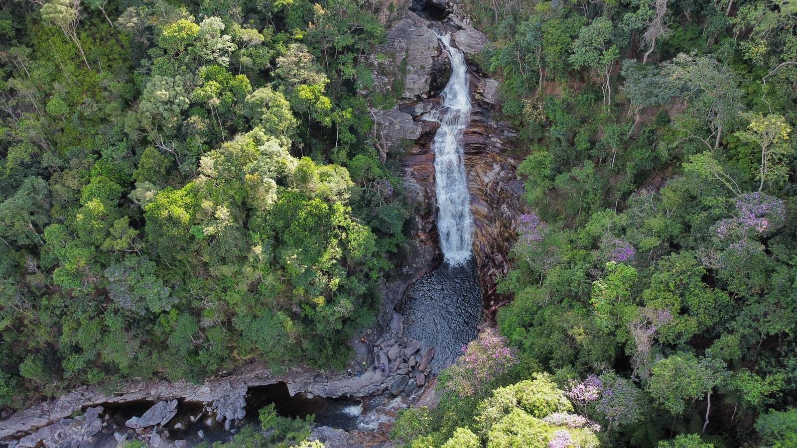 A mata fecha tudo ao redor, e a cachoeira segue sem pedir licença. Vista aérea de uma cachoeira alta despencando por uma rocha escura em uma piscina natural, cercada por floresta densa com árvores de flores roxas na trilha do Vale do Pati