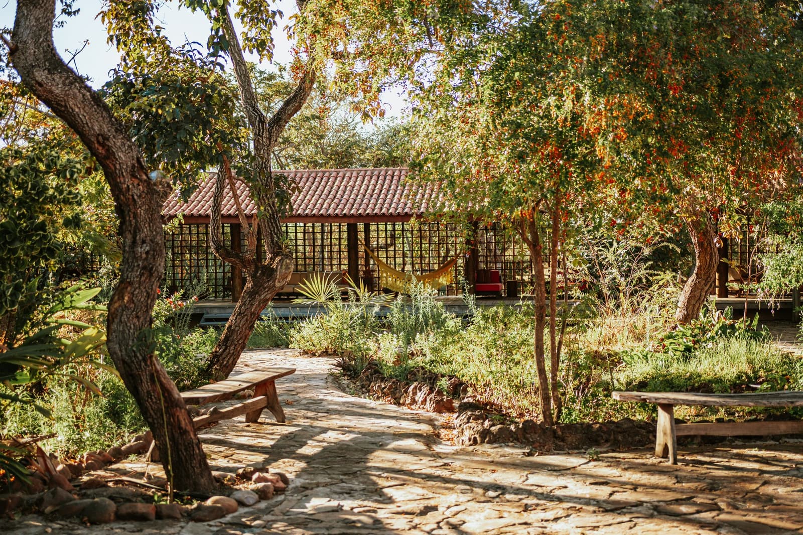 Un jardin qui vous donne envie de poser les bagages et de rester. Allée en pierre ensoleillée de la Pousada Trijunção traversant un jardin luxuriant d'arbres natifs du Cerrado, menant à un pavillon ouvert avec un hamac et un toit de tuiles en terre cuite