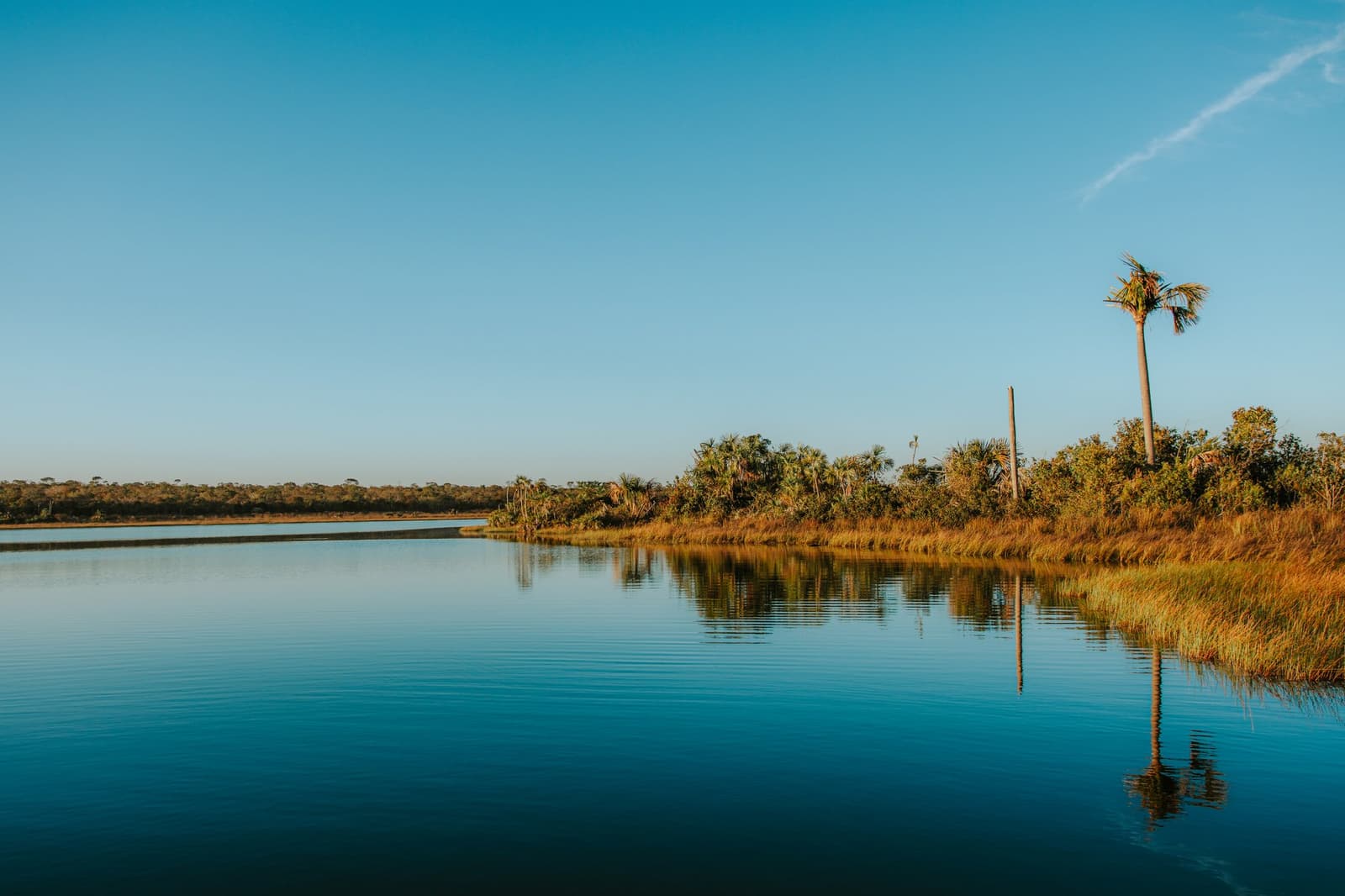 Le Cerrado à l'heure où rien ne bouge, sauf peut-être votre respiration. Les eaux calmes de la Lagoa das Araras à la Pousada Trijunção reflètent un grand palmier et des herbes dorées sous un ciel bleu sans nuages