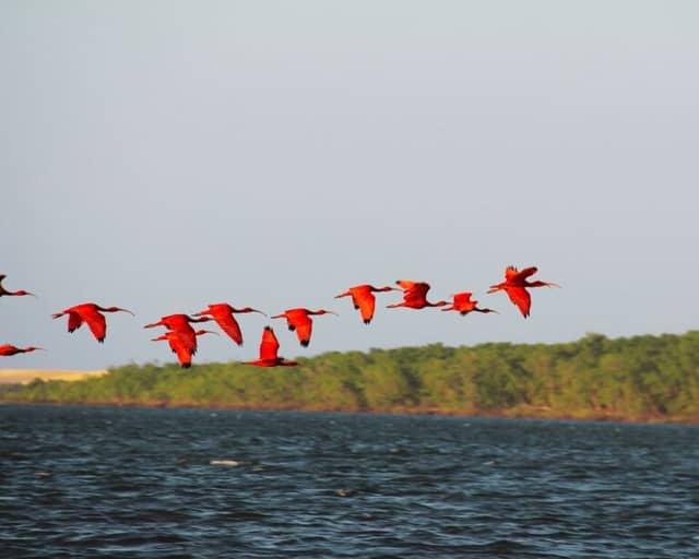 Route of Emotions in Brazil: itinerary, map, and best time to visit in 2026 Route of Emotions in Brazil: itinerary, map, and best time to visit in 2026