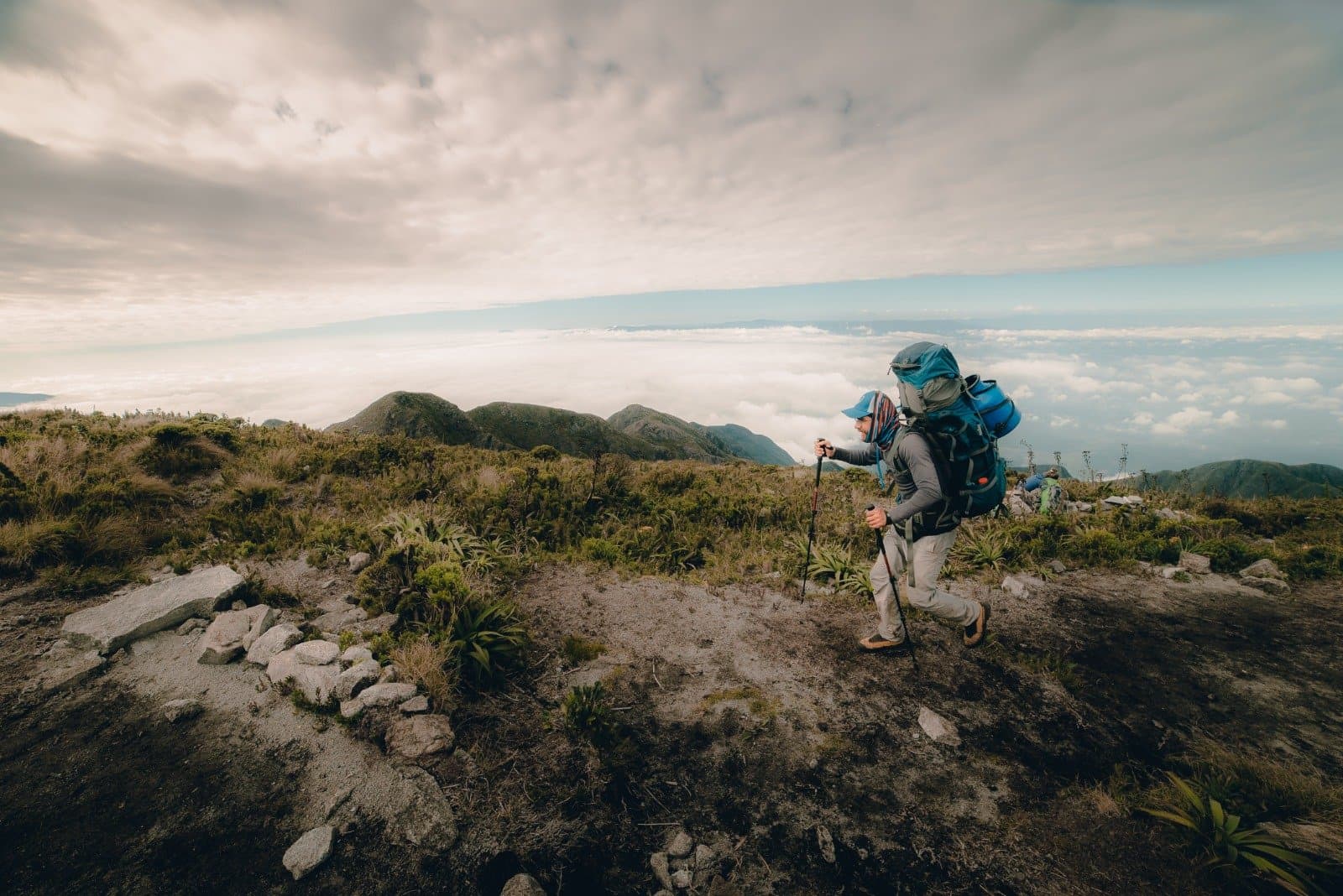 Trekking Serra da Mantiqueira: 4 giorni sulla traversata della Serra Fina Trekking Serra da Mantiqueira: 4 giorni sulla traversata della Serra Fina