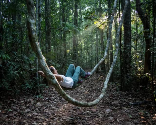 Cosa fare in Amazzonia: le attività all’aria aperta sul Rio delle Amazzoni, in Brasile Cosa fare in Amazzonia: le attività all’aria aperta sul Rio delle Amazzoni, in Brasile