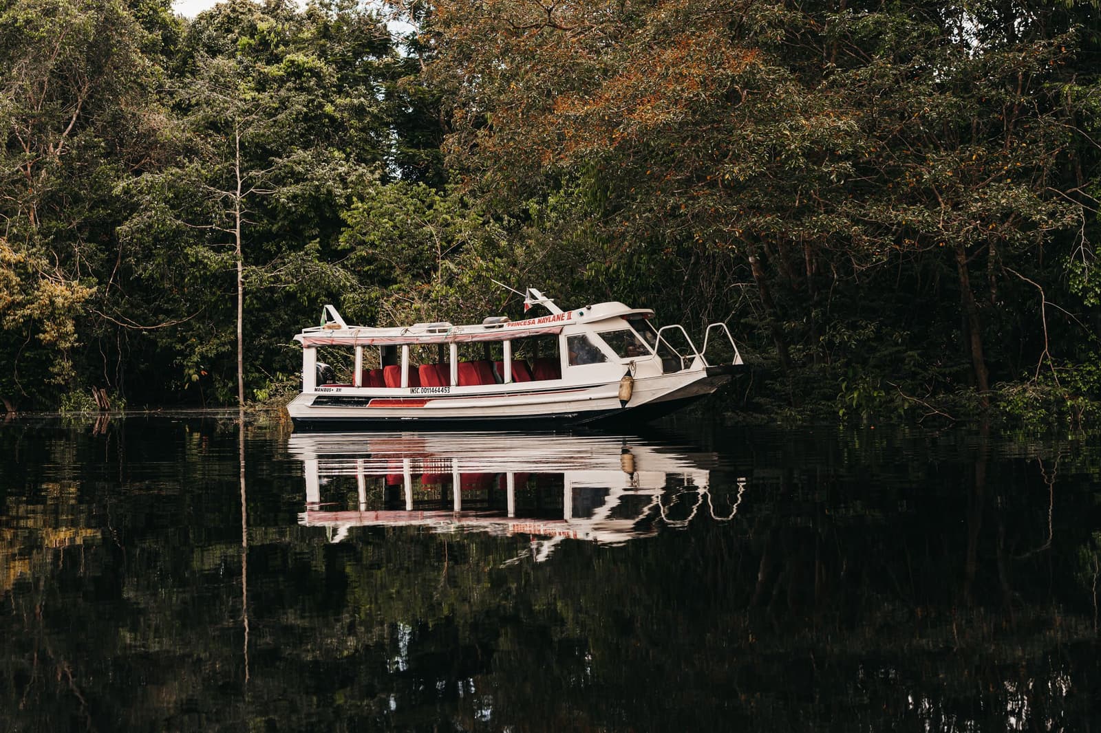 Das Boot liegt bereit, der Wald schon lange. Das weiße Passagierboot Princesa Naylane II mit roten Sitzen liegt auf dunklem Schwarzwasser, das sich perfekt in der stillen Oberfläche spiegelt, umgeben vom dichten Blätterdach des Amazonas-Regenwalds.