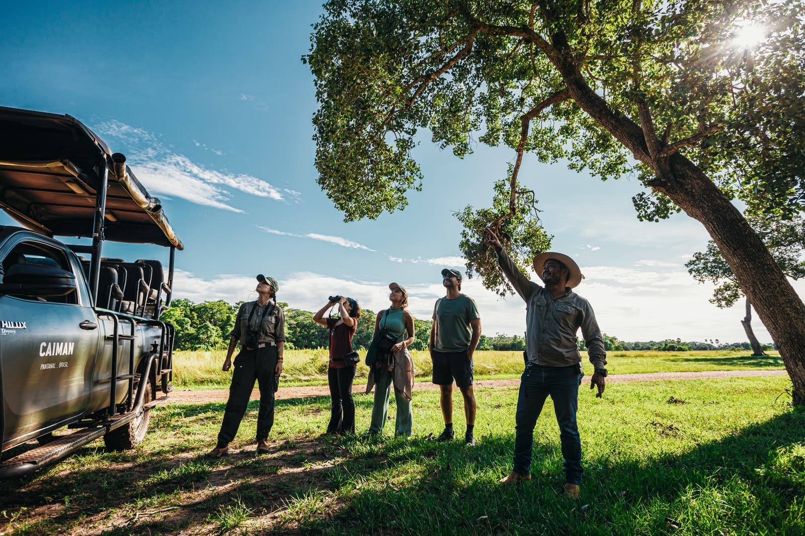A good guide makes you look up. A great one makes you see what's actually there. Photo: Felipe Castellari A Caiman lodge guide points into a tree canopy while four guests — one using binoculars — look up during a luxury Pantanal and Amazon trip guided walk beside an open 4x4 safari vehicle