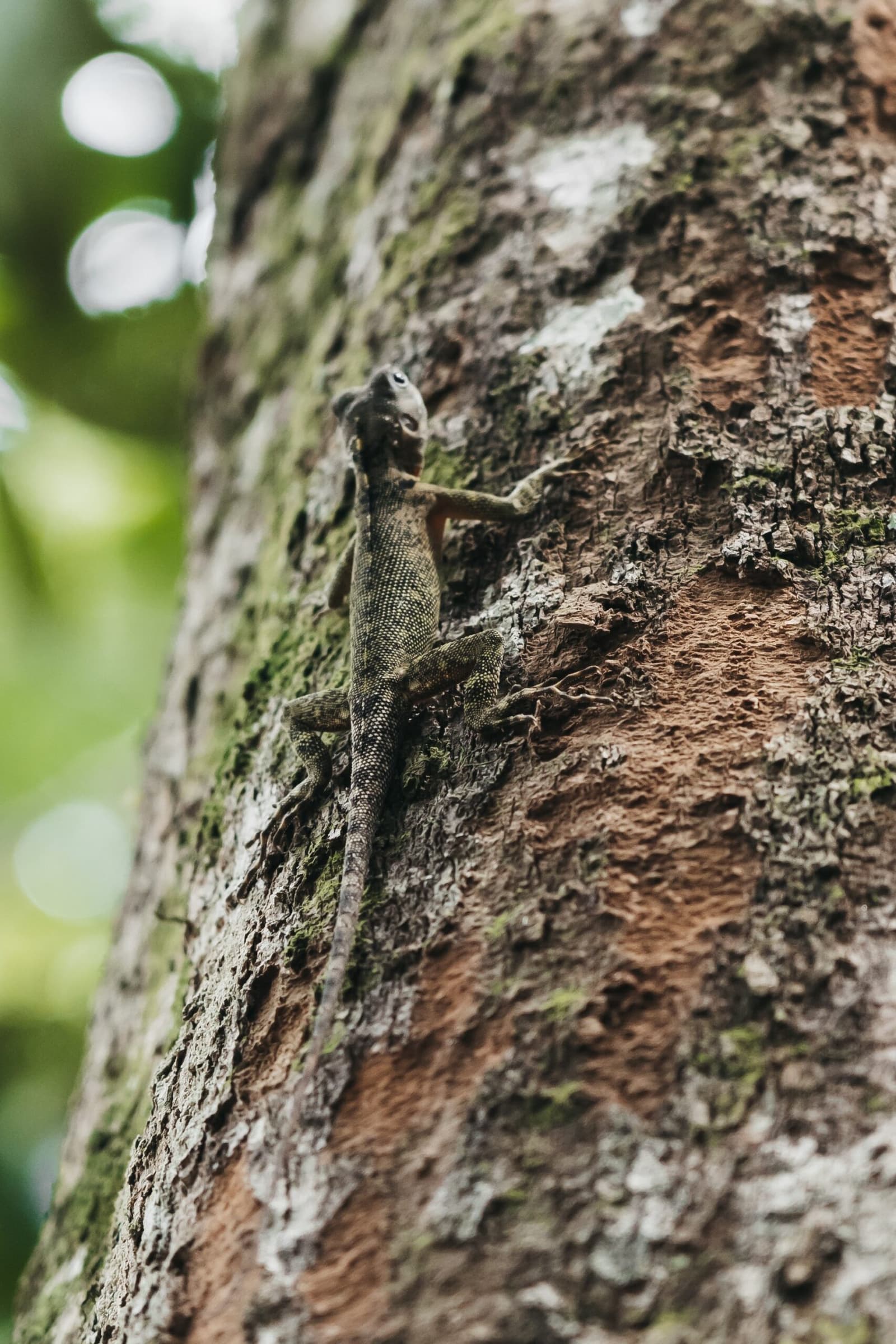 Camouflage this good deserves a second look. Photo 7