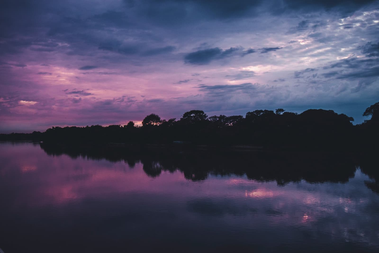 Two skies for the price of one, the water keeps its copy all night. Purple and pink sunset sky reflected on a glassy river with a dark treeline silhouette on the horizon, seen on an amazon and pantanal tour
