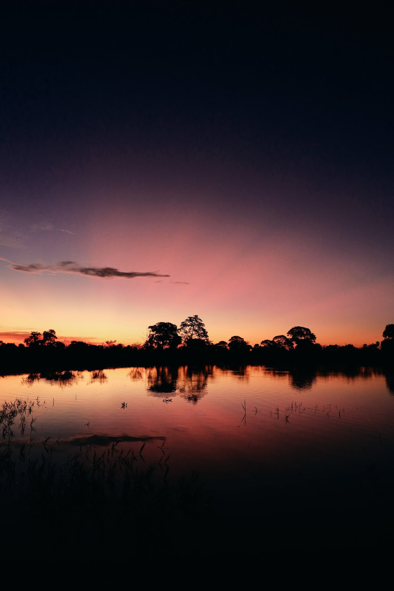 Pink sky, still water, and the Pantanal holding its breath before dark. Photo: thiagolbrito Orange and pink twilight sky reflected in a still wetland lagoon on a luxury Pantanal and Amazon trip, with silhouetted trees lining the far bank