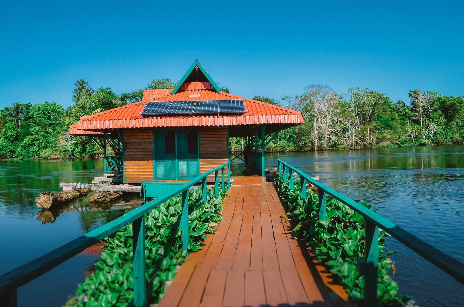 Solar panels on the roof, river lapping beneath, forest on every side. A wooden cabin with an orange tiled roof and solar panels sits over a calm river on an amazon rainforest ecolodge trip in brazil, reached by a red timber boardwalk lined with aquatic plants, dense green forest visible behind