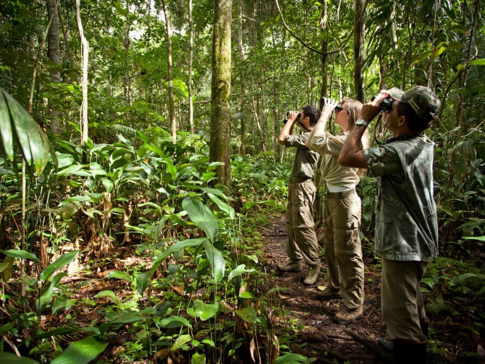 Photo: Samuel Melim Ecotourism in the Amazon Rainforest Brazil