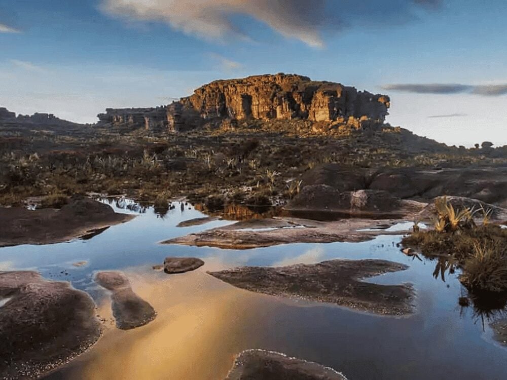. Qu'y a-t-il au sommet du Mont Roraima