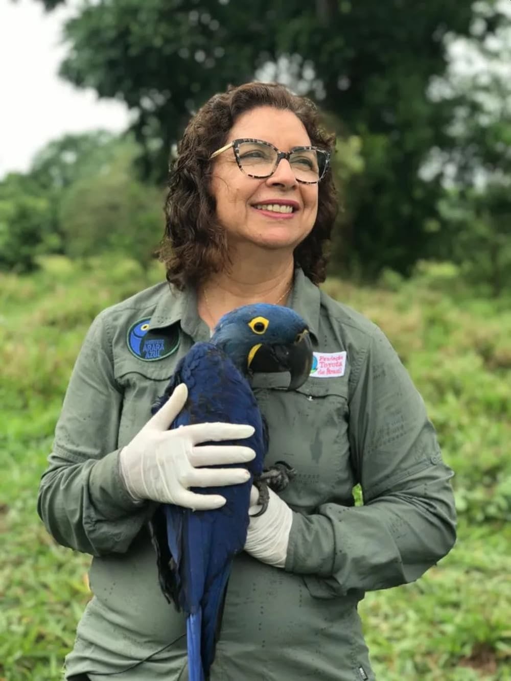 Die Biologin Neiva Guedes lächelt, während sie im Freien sanft einen blauen Hyazinth-Ara hält. Die Biologin Neiva Guedes lächelt, während sie im Freien sanft einen blauen Hyazinth-Ara hält.