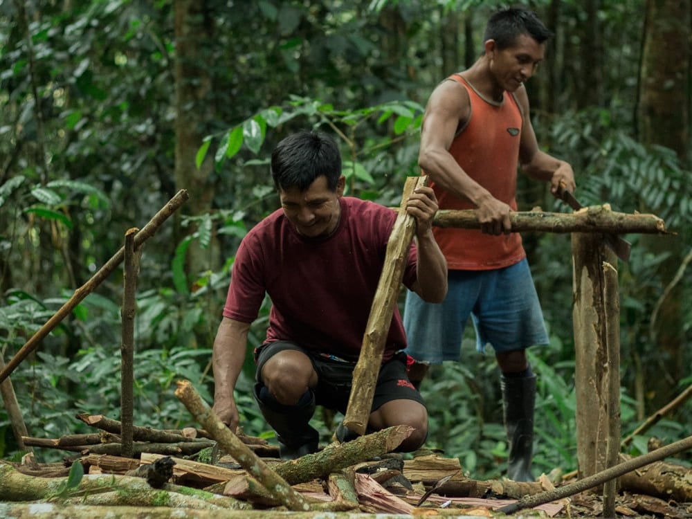 Dois guias locais construindo uma estrutura de madeira durante um passeio de sobrevivência na selva na Amazônia. Dois guias locais construindo uma estrutura de madeira durante um passeio de sobrevivência na selva na Amazônia.