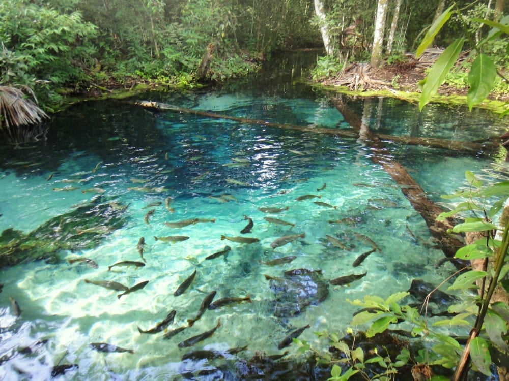 Photo: Renata Menezes Nobres (Mato Grosso)