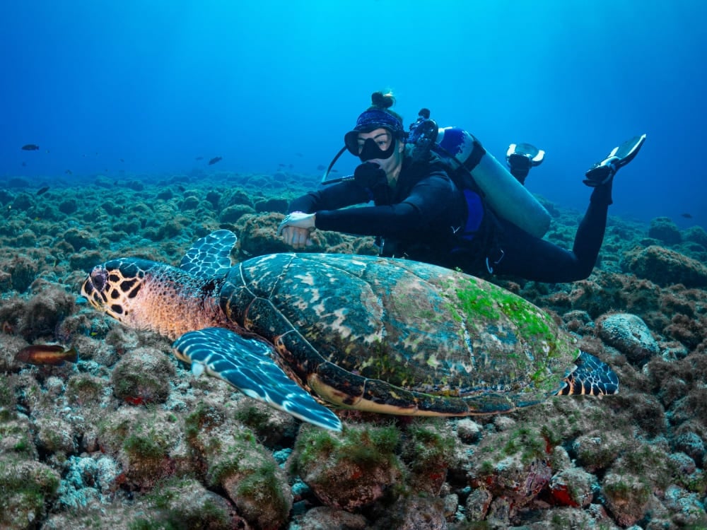 . Top ecotourism destinations in Brazil