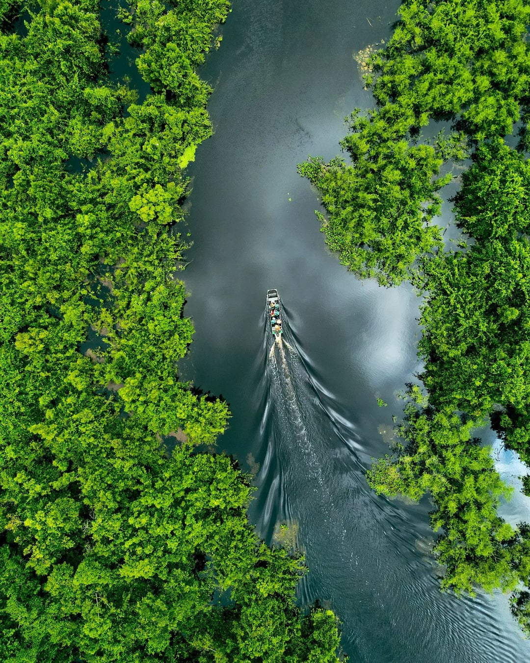Vue aérienne d'un bateau naviguant sur des voies navigables verdoyantes pendant la saison humide, la meilleure période pour visiter le Pantanal pour la photographie de paysage. Vue aérienne d'un bateau naviguant sur des voies navigables verdoyantes pendant la saison humide, la meilleure période pour visiter le Pantanal pour la photographie de paysage.