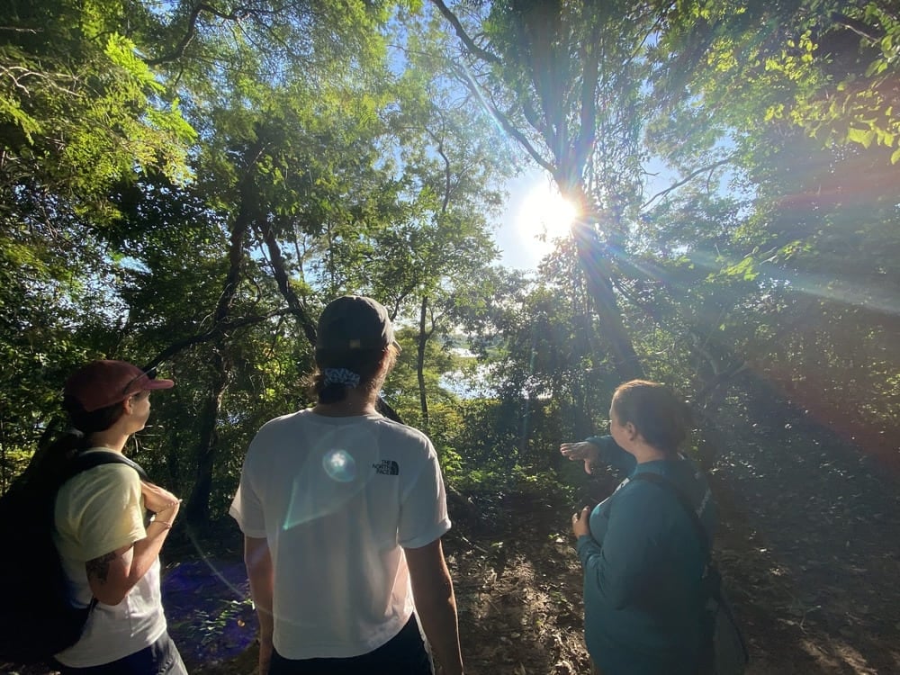 Drei Reisende werden über einen dichten Waldweg geführt, während das Sonnenlicht durch die Bäume im Pantanal (Brasilien) fällt. Drei Reisende werden über einen dichten Waldweg geführt, während das Sonnenlicht durch die Bäume im Pantanal (Brasilien) fällt.
