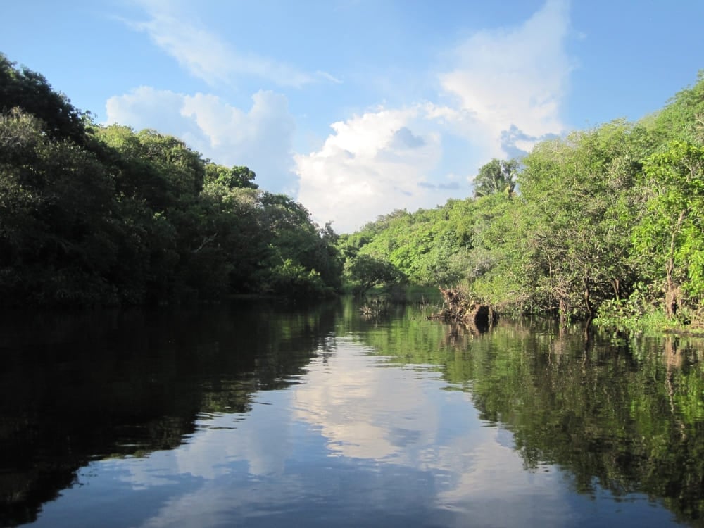 Ein atemberaubender goldener Sonnenuntergang spiegelt sich im ruhigen Wasser und wird vom Bug eines kleinen Bootes während einer immersiven Naturtour in Brasilien aus betrachtet. Ein atemberaubender goldener Sonnenuntergang spiegelt sich im ruhigen Wasser und wird vom Bug eines kleinen Bootes während einer immersiven Naturtour in Brasilien aus betrachtet.