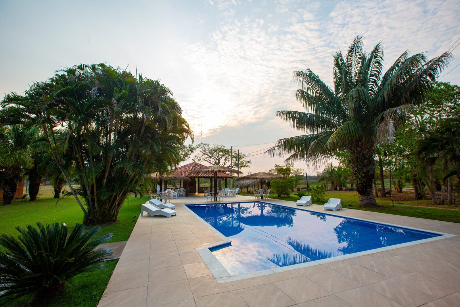 After a long day in the field, this pool earns every inch of its reputation. Outdoor swimming pool with white sun loungers and a thatched gazebo surrounded by palm trees at a Pantanal Jaguar Photography Tour lodge, under a soft evening sky