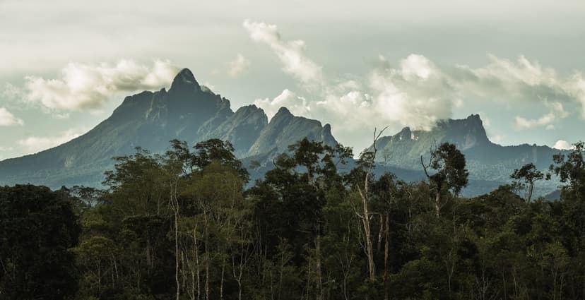 Jagged granite peaks of the Pico da Neblina Expedition range rise above a dense Amazon rainforest canopy under a partly cloudy sky, with clouds clinging to the higher summits Jagged granite peaks of the Pico da Neblina Expedition range rise above a dense Amazon rainforest canopy under a partly cloudy sky, with clouds clinging to the higher summits