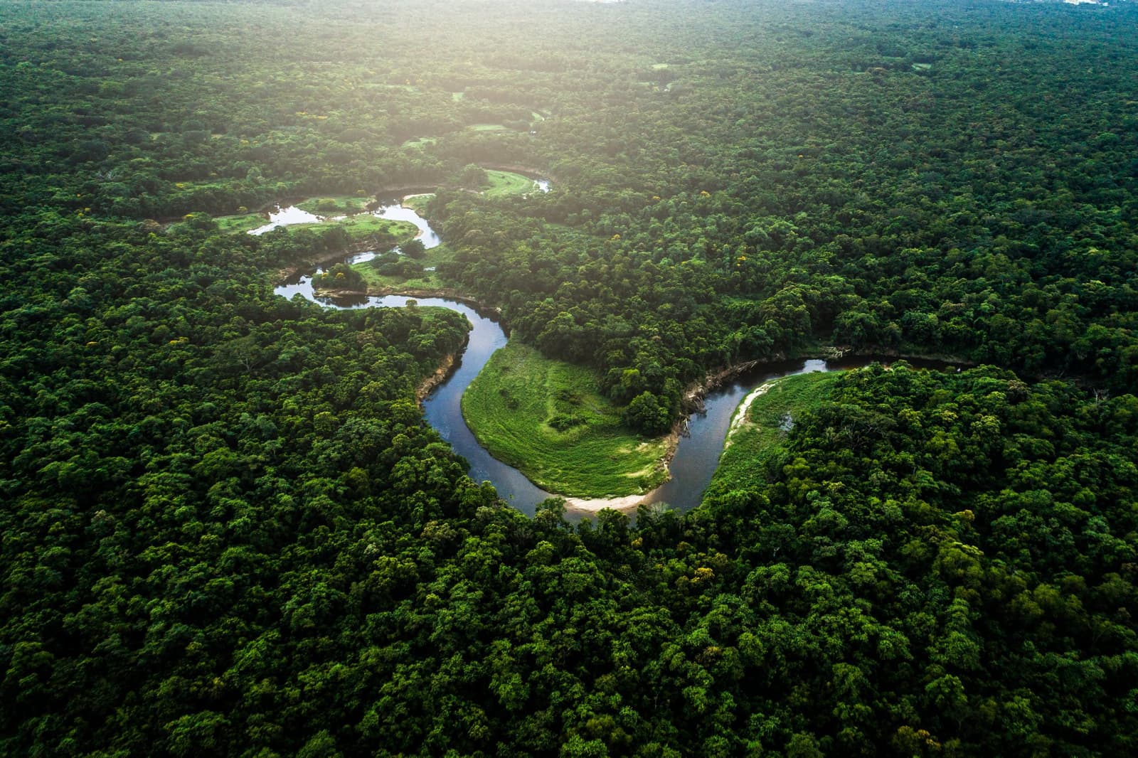 From above, a river loops endlessly through the unbroken green canopy. Photo: FG Trade Aerial view of a winding river snaking through endless green canopy on an amazon rainforest tour from manaus