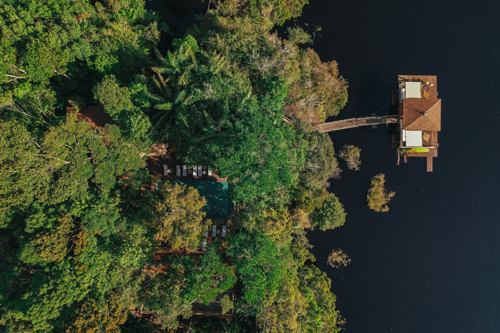 Helft oerwoud, helft rivier, precies genoeg van allebei. Drone-opname van Anavilhanas Jungle Lodge Brazilië met een zwembad verscholen tussen boomtoppen, houten loopbruggen en een bungalow boven het donkere water van de Rio Negro