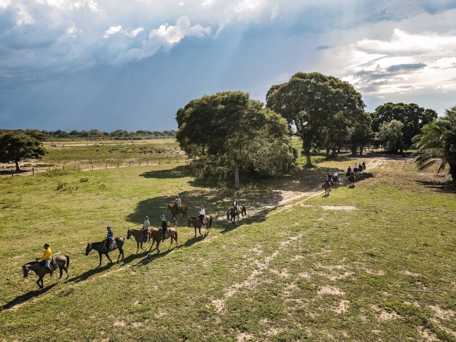 Eight riders, one trail, infinite sky — horseback riding through the Pantanal's open fields. A line of riders on horseback crosses open green grassland during a budget Pantanal tour, with large shade trees and a dramatic storm-lit sky in the background