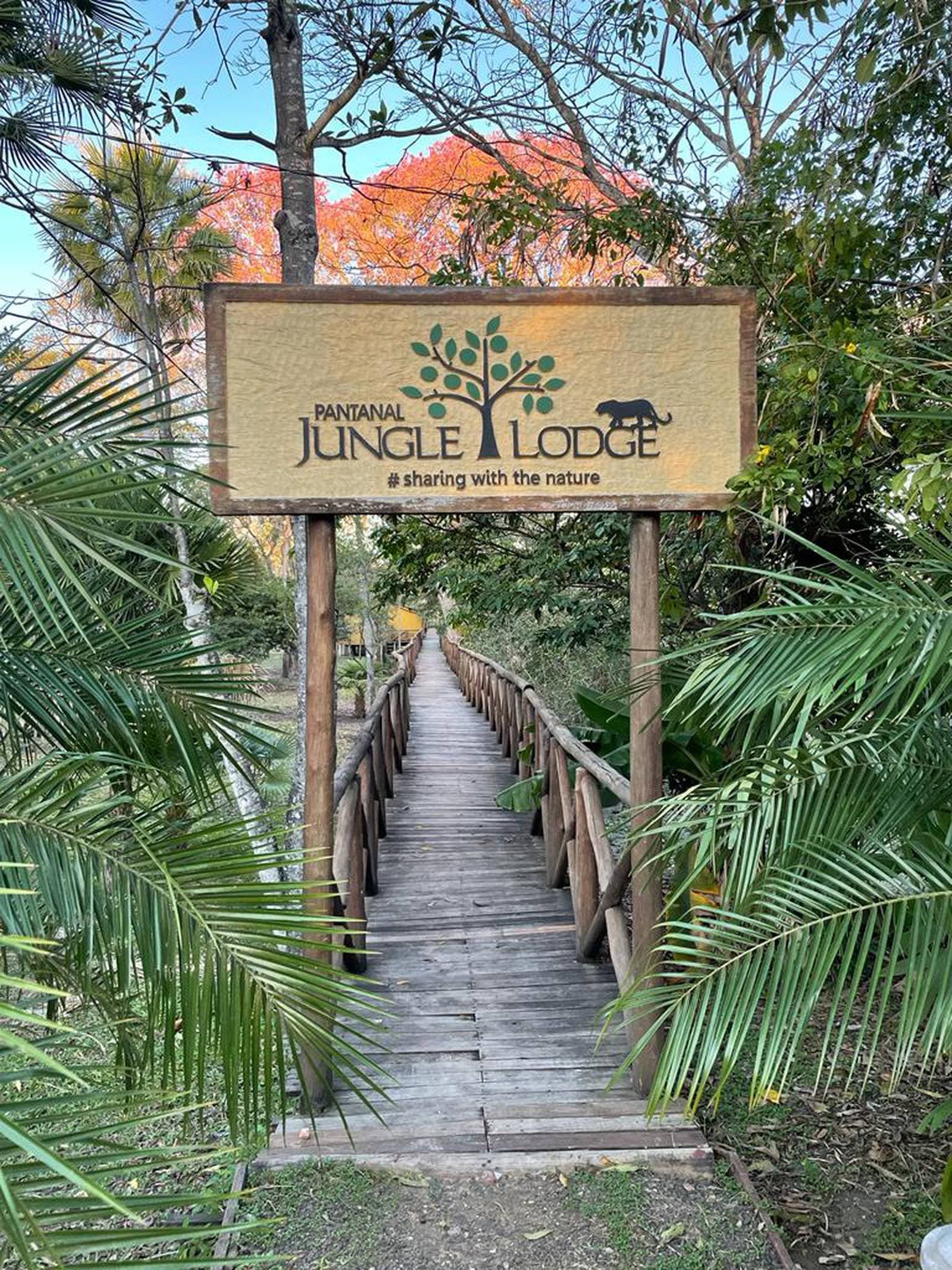 A rustic boardwalk, palm fronds, and a flame-orange canopy overhead — your gateway to the wetlands. Wooden entrance sign reading 'Pantanal Jungle Lodge – sharing with the nature' above a rustic timber boardwalk leading into lush tropical vegetation, the starting point of a budget Pantanal tour