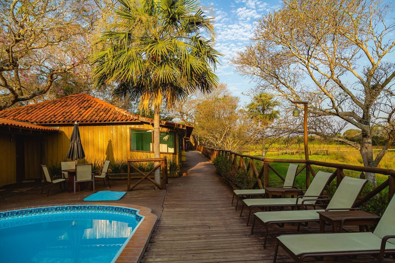 Sundowners by the pool, wetlands stretching beyond the fence. A wooden deck with sun loungers and a blue outdoor pool beside a rustic timber lodge with a terracotta roof, surrounded by palm trees and open wetland grassland on this budget Pantanal tour