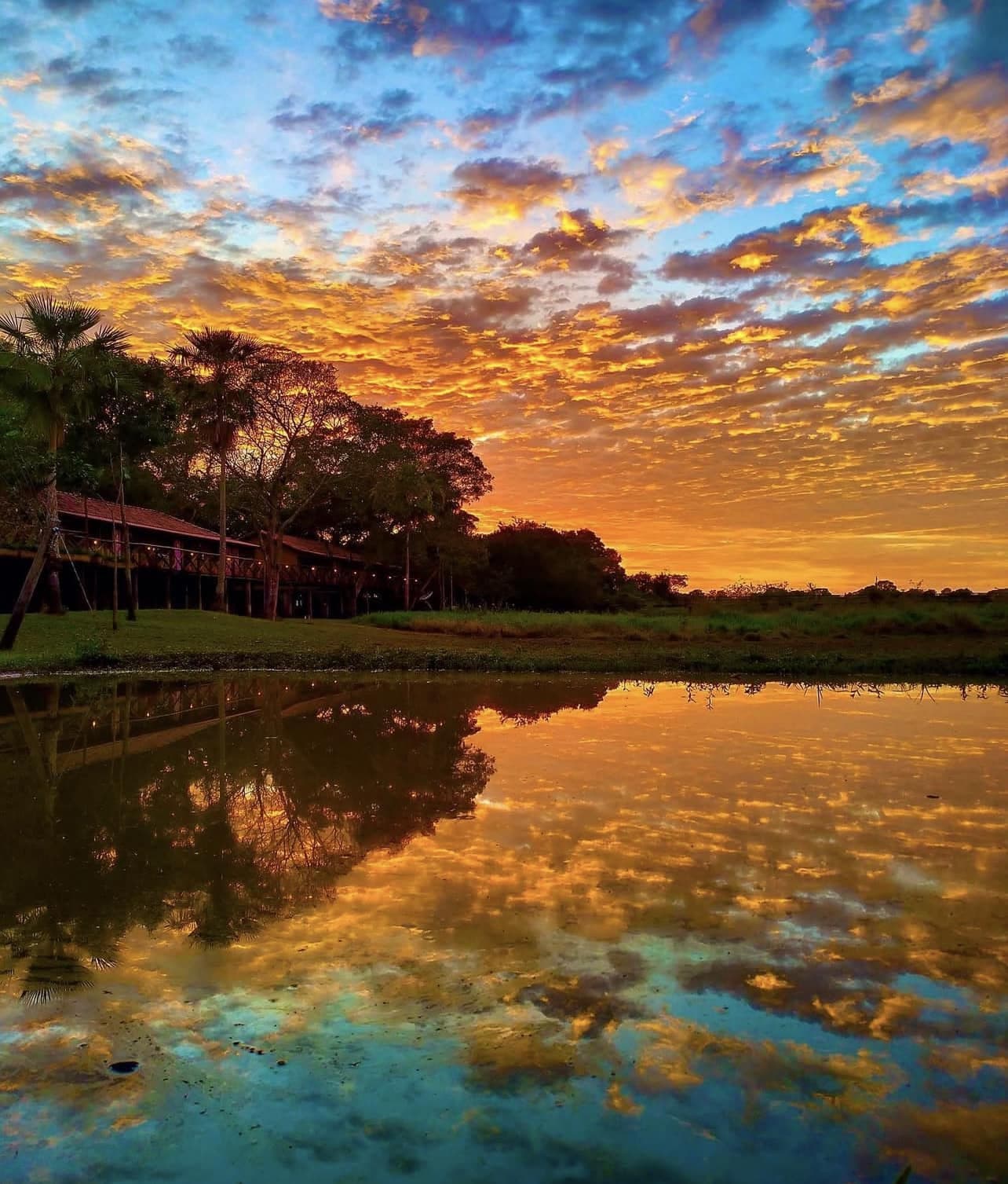 Every sky a different painting — tonight belongs to the wetlands. A fiery orange and gold sunset sky reflected perfectly in a still waterway beside a rustic thatched lodge on a budget Pantanal tour, with silhouetted palm trees and tropical vegetation lining the bank