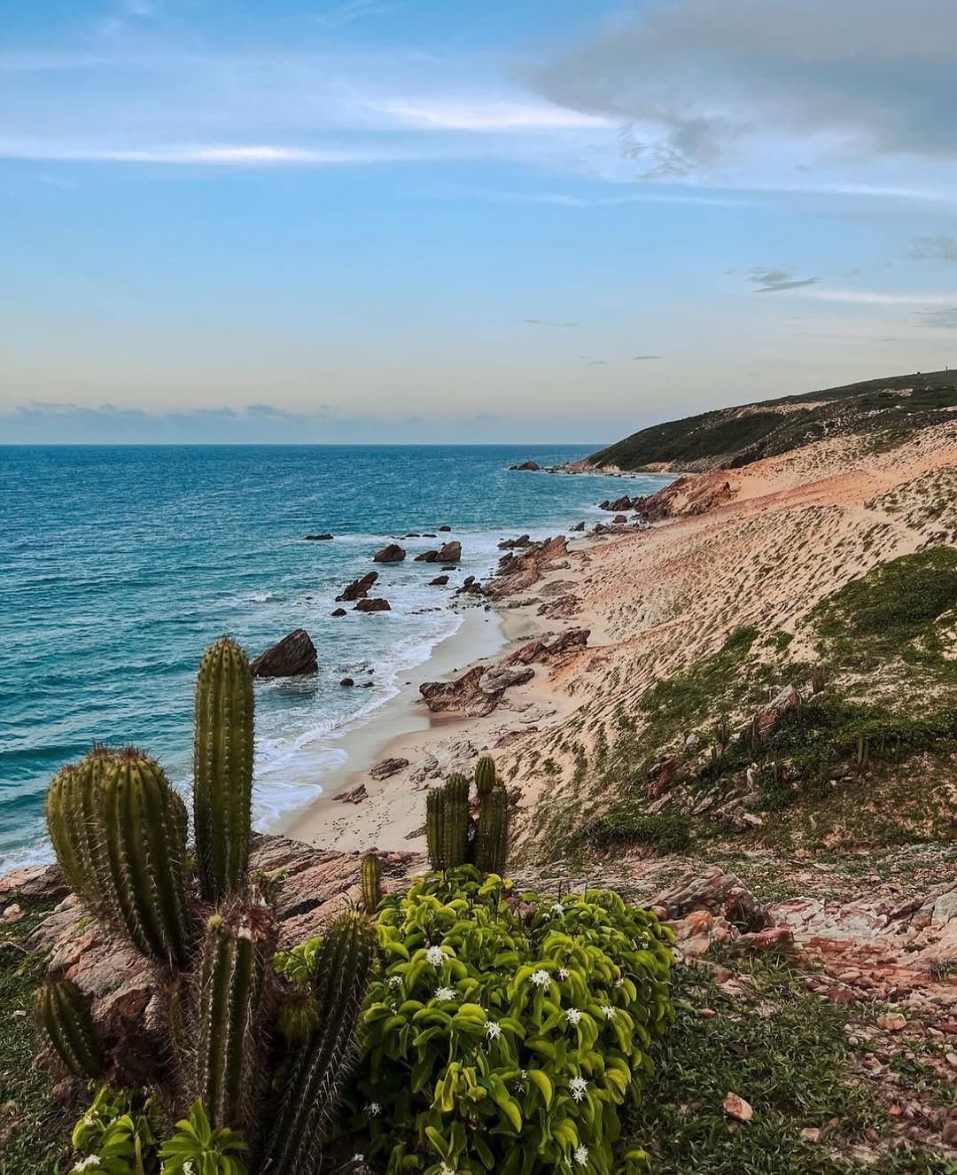 Caatinga meets the sea — cacti on the clifftop, wild sand below. Photo 1