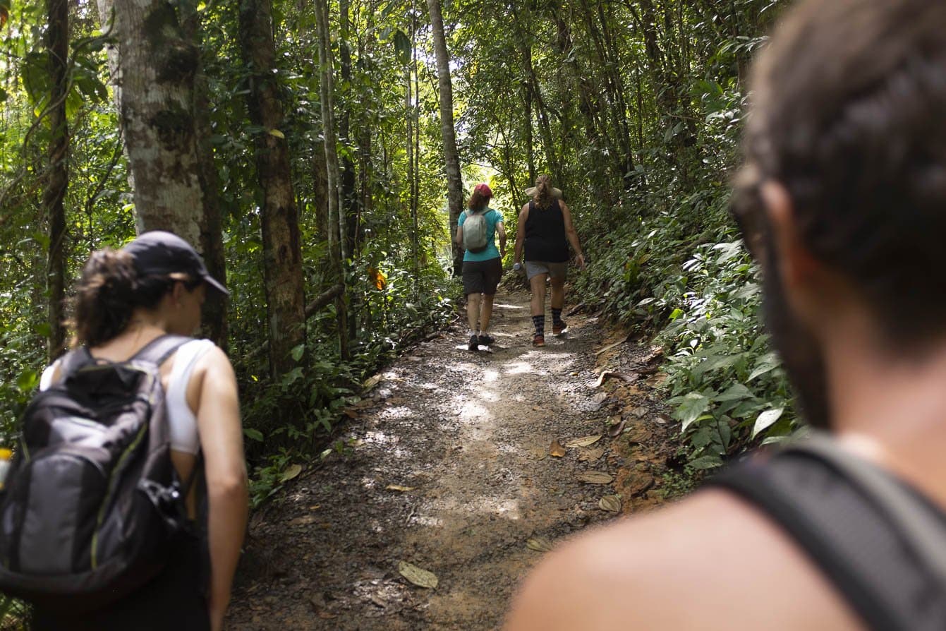 Diep in het woud — weelderige paden verbinden de legendarische stranden van Itacaré. Vier wandelaars met rugzakken lopen achter elkaar over een beschaduwd aarden pad door het dichte Atlantische woud bij Itacaré, Bahia, tijdens een fietsreis door Bahia