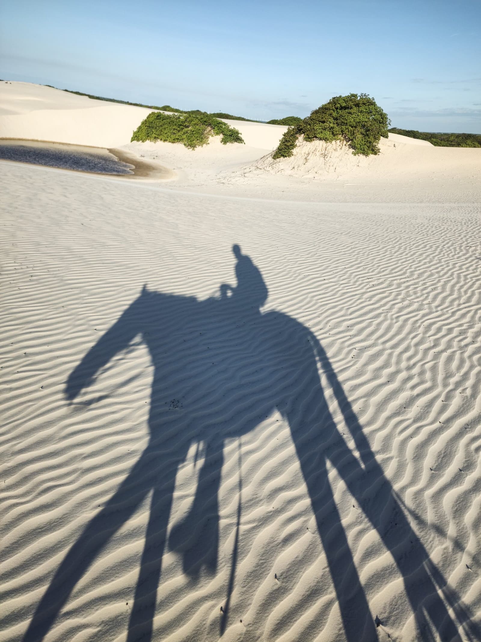 Your shadow stretches across the dunes long before you do. Photo: Cavan Images Long shadow of a rider on horseback cast across wind-rippled white sand dunes with scattered green shrubs and a shallow lagoon in the background during a horseback riding Lençóis Maranhenses tour