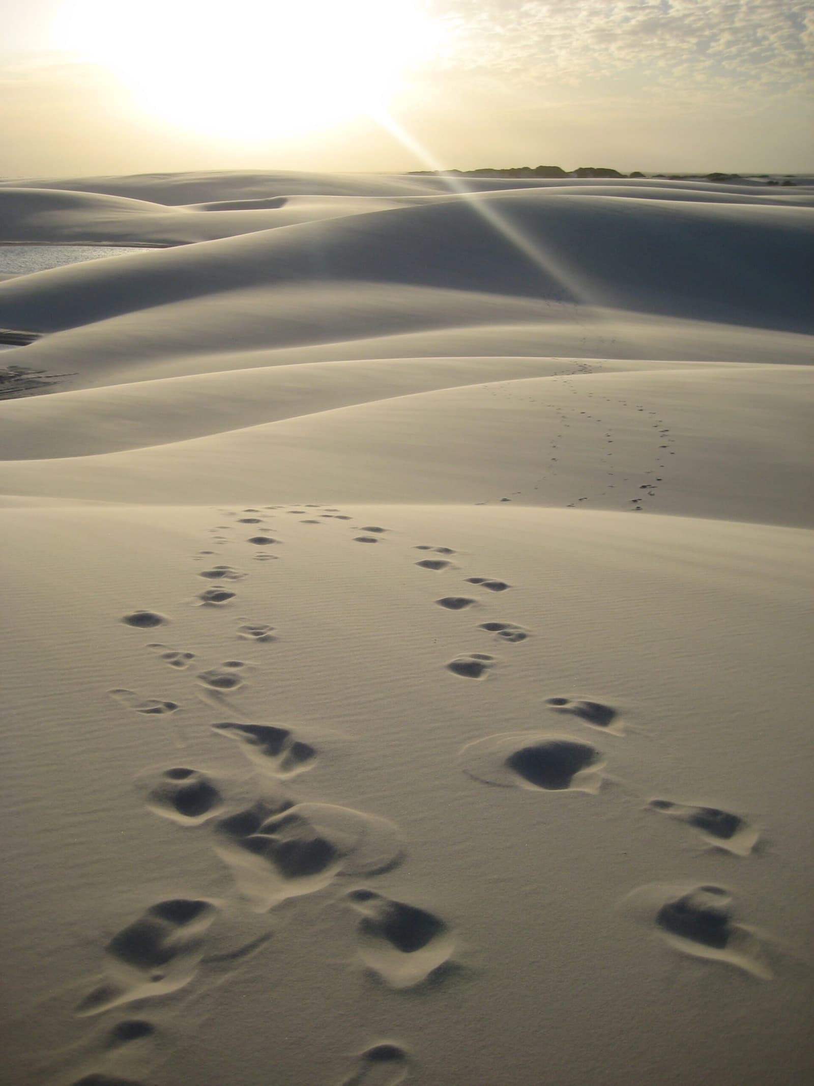 Footprints fade into the dunes, swallowed by silence and light. Photo 3